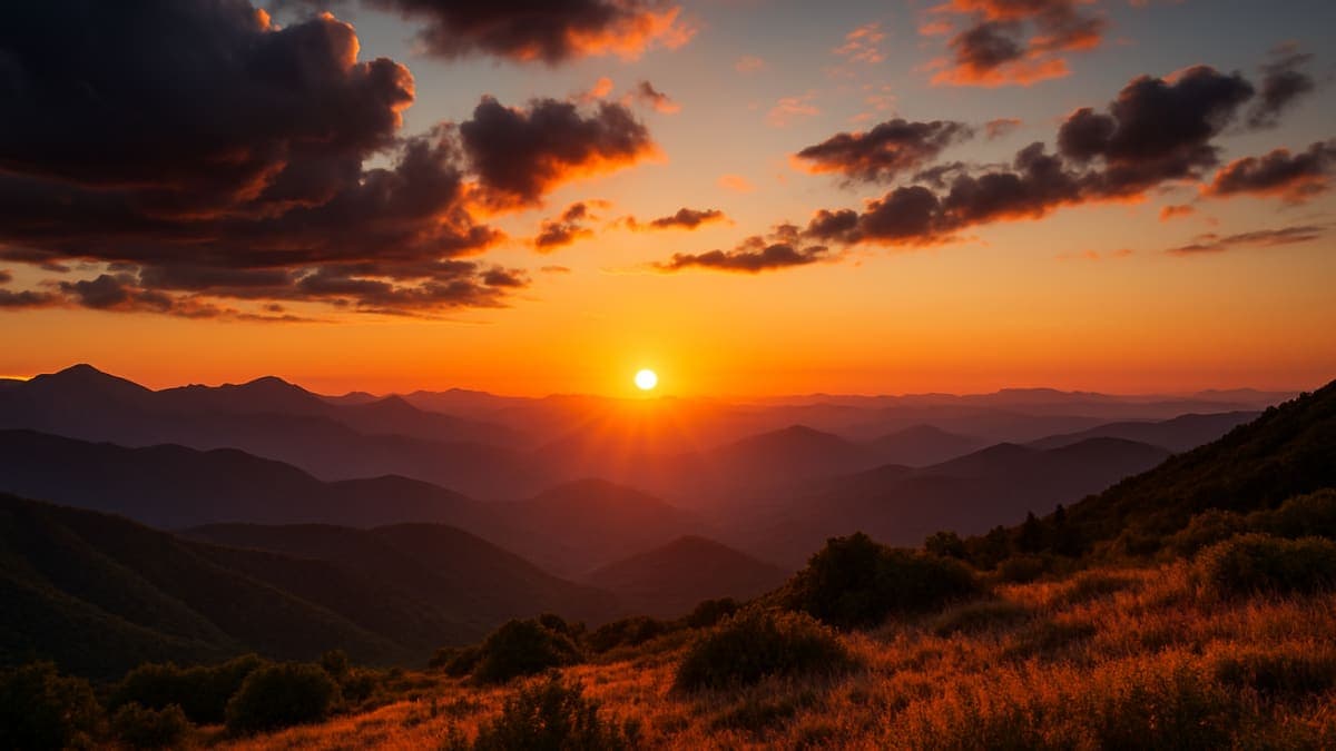 Wakil progresif memicu badai media sosial karena komentarnya dalam video yang muncul kembali: 'Sungguh mengerikan'